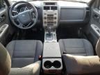 2011 Ford Escape Xlt   للبيع في Baltimore، MD - Rear End