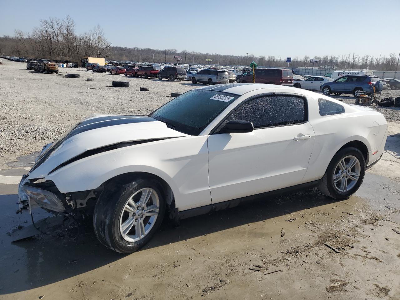 2011 Ford Mustang zu verkaufen in Cahokia Heights, IL - Front End