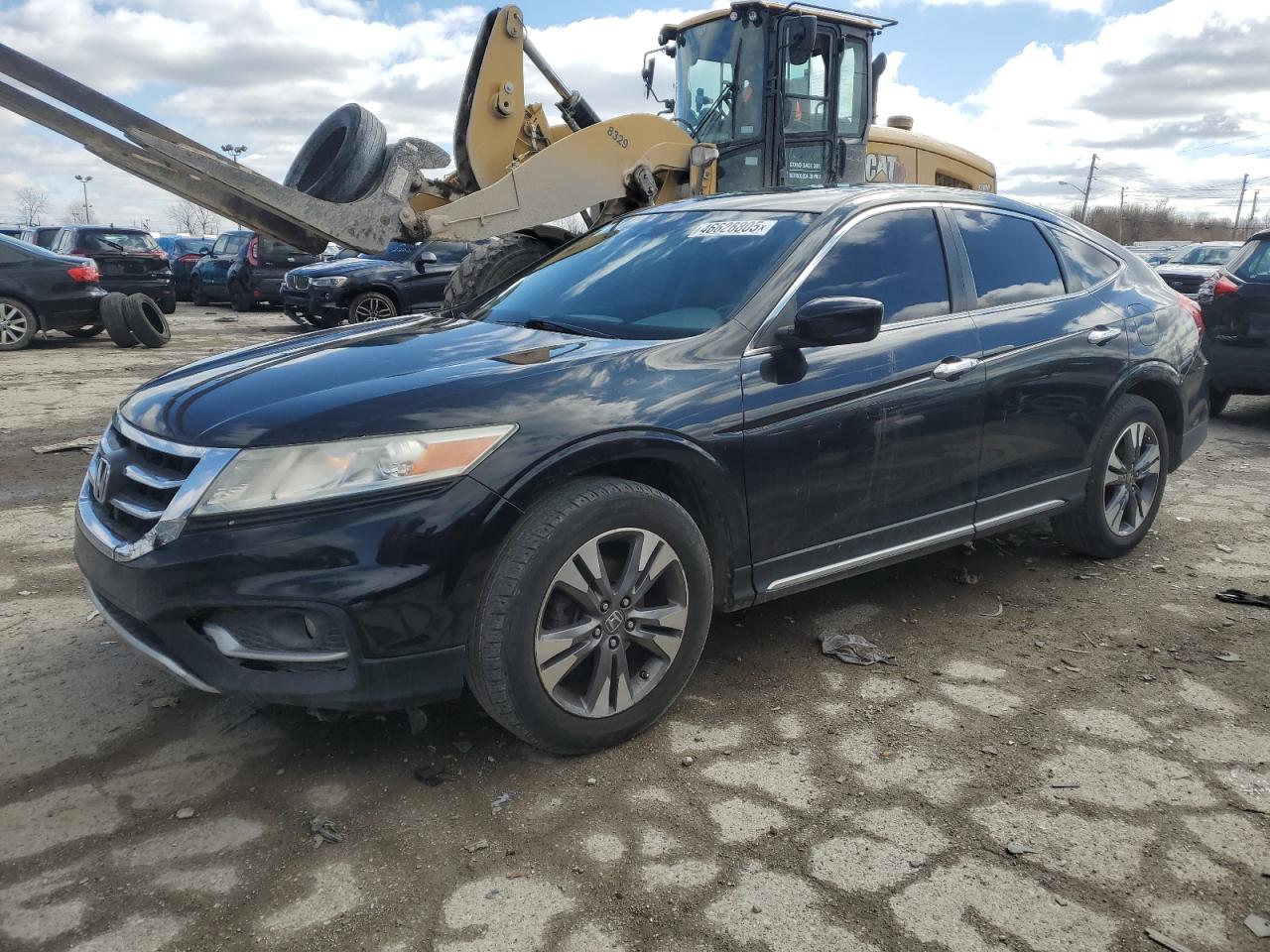 2014 Honda Crosstour Exl за продажба в Indianapolis, IN - Rear End