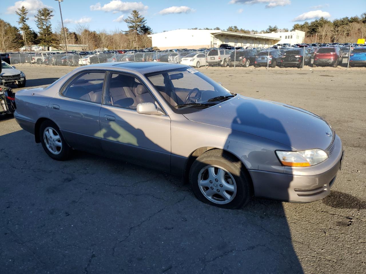 1994 Lexus ES - Image 4