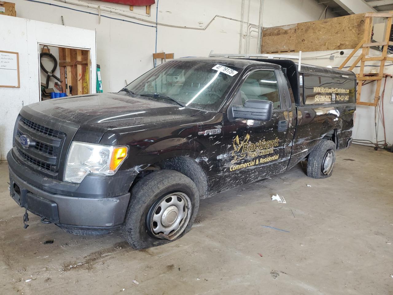 2014 Ford F-150 - Image 1