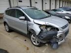 2013 Ford Escape Se for Sale in Louisville, KY - Front End
