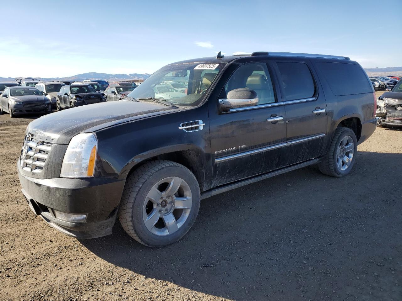 2011 Cadillac Escalade Esv Premium for Sale in Helena, MT - Front End