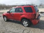 2011 Ford Escape Xlt للبيع في Louisville، KY - Rear End