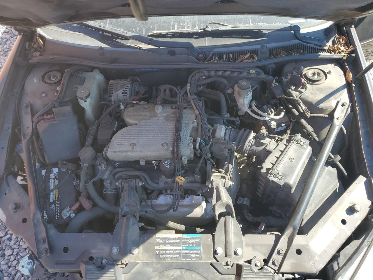 2009 Chevrolet Impala 1Lt VIN: 2G1WT57K791232823 Lot: 89665775