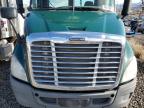 2016 Freightliner Cascadia 113 Semi Truck for Sale in Reno, NV - Minor Dent/Scratches