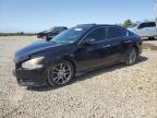 2010 Nissan Maxima S de vânzare în Memphis, TN - Front End