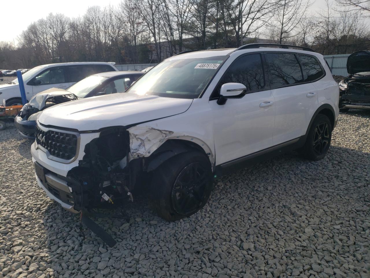 2023 Kia Telluride - Image 1