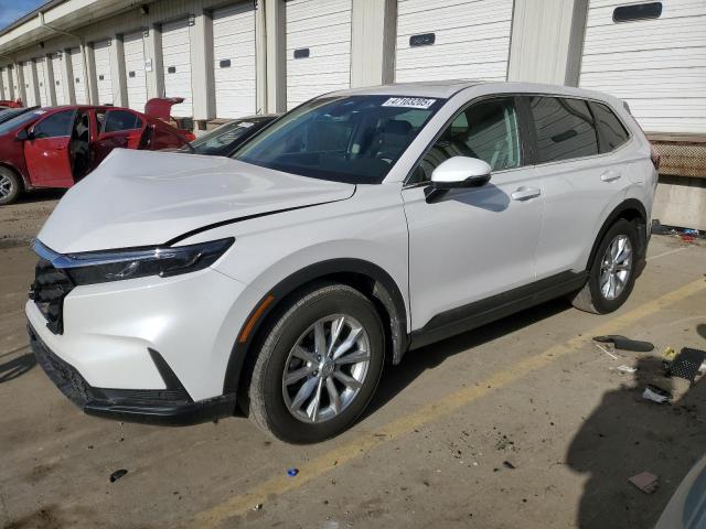 2025 Honda Cr-V Exl
