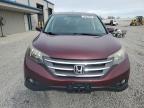2012 Honda Cr-V Ex en Venta en Earlington, KY - Hail