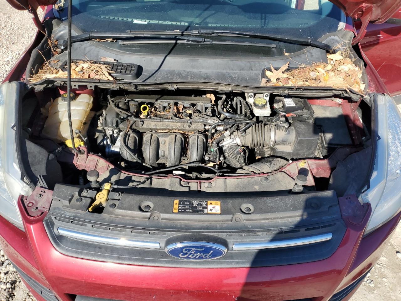 2016 Ford Escape - Image 12