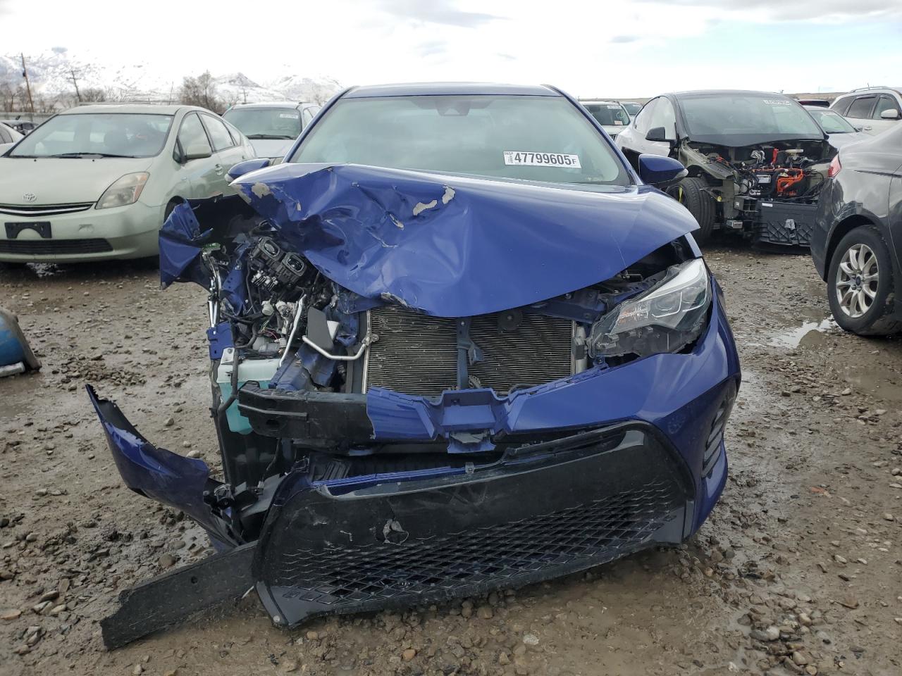 2019 Toyota Corolla - Image 5