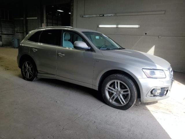  AUDI A5 2013 Колір засмаги