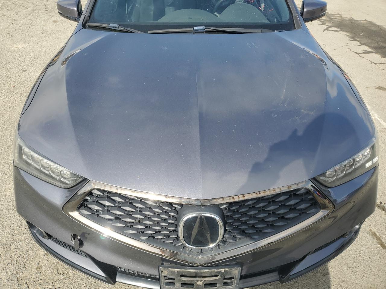 2019 Acura Tlx Technology VIN: 19UUB3F66KA000561 Lot: 51057135