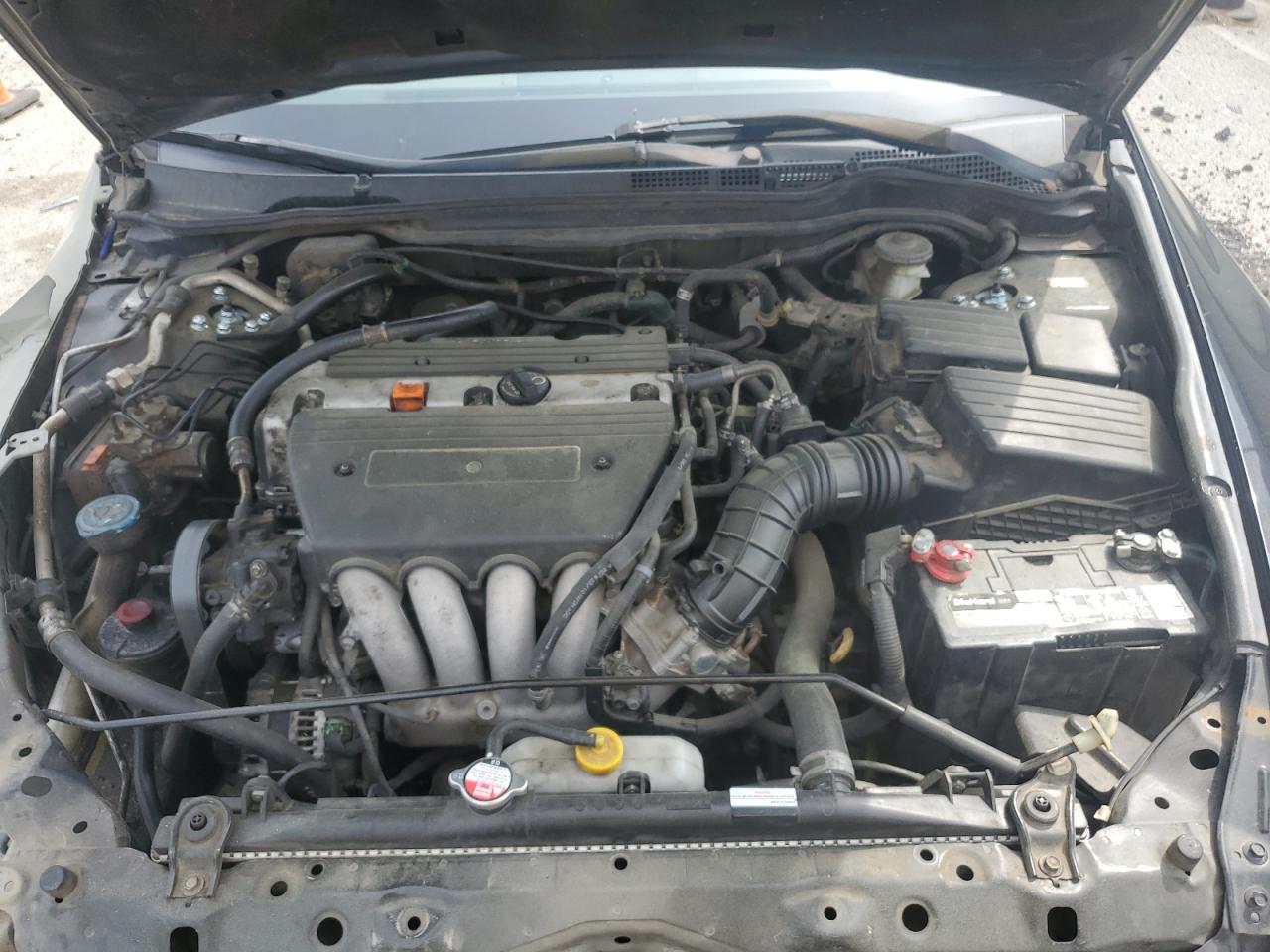 2007 Honda Accord Ex VIN: 1HGCM56767A163292 Lot: 50550485