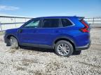 2024 Honda Cr-V Ex   na sprzedaż w Earlington, KY - All Over