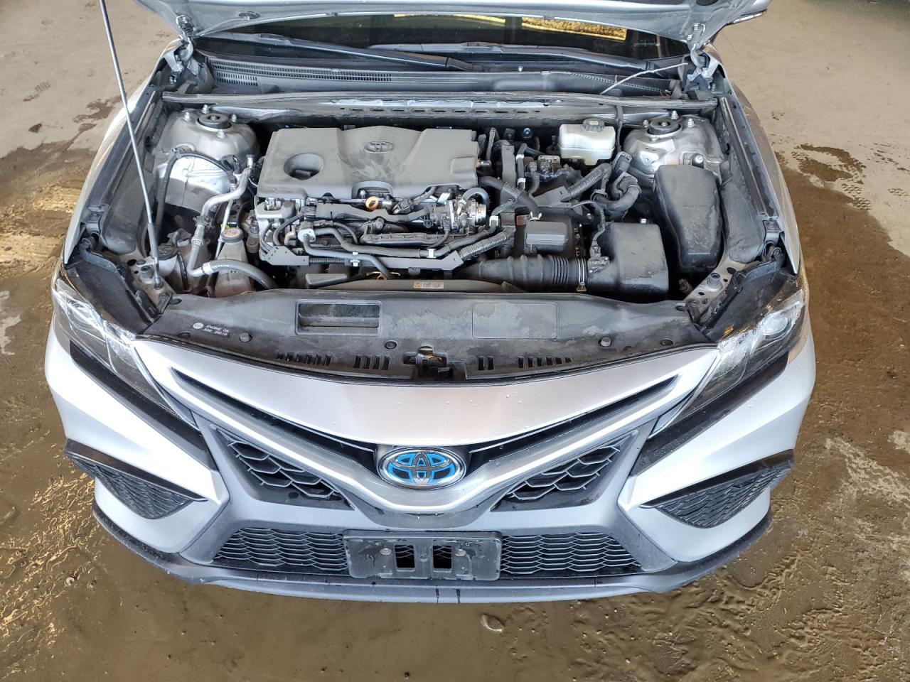 2021 Toyota Camry Se VIN: 4T1G31AKXMU568021 Lot: 48888555