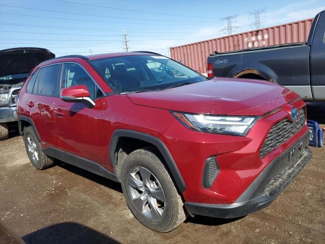  TOYOTA RAV4 2024 Czerwony