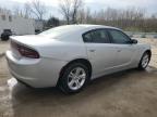 2020 Dodge Charger Sxt   for Sale in Louisville, KY - Hail