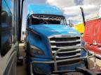 2021 Freightliner Cascadia 126 Semi Truck for Sale in Albuquerque, NM - Side