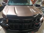 2019 Chevrolet Silverado K1500 Trail Boss Custom for Sale in Ebensburg, PA - Side