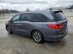 2021 Honda Odyssey Exl for Sale in Louisville, KY - Hail
