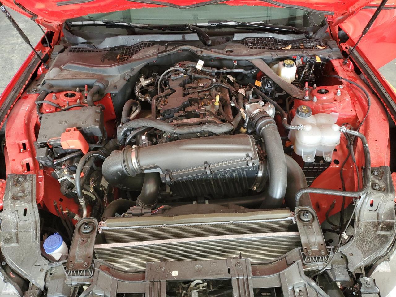 1FAGP8UH2R5120865 FORD ALL Models 2024