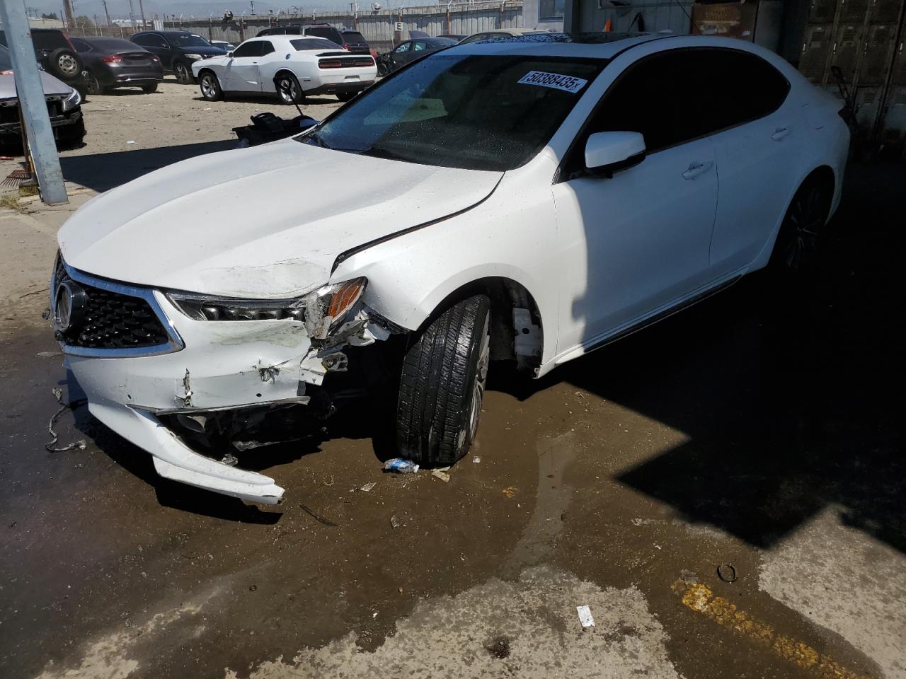 2018 Acura Tlx Advance for Sale in Los Angeles, CA - Front End
