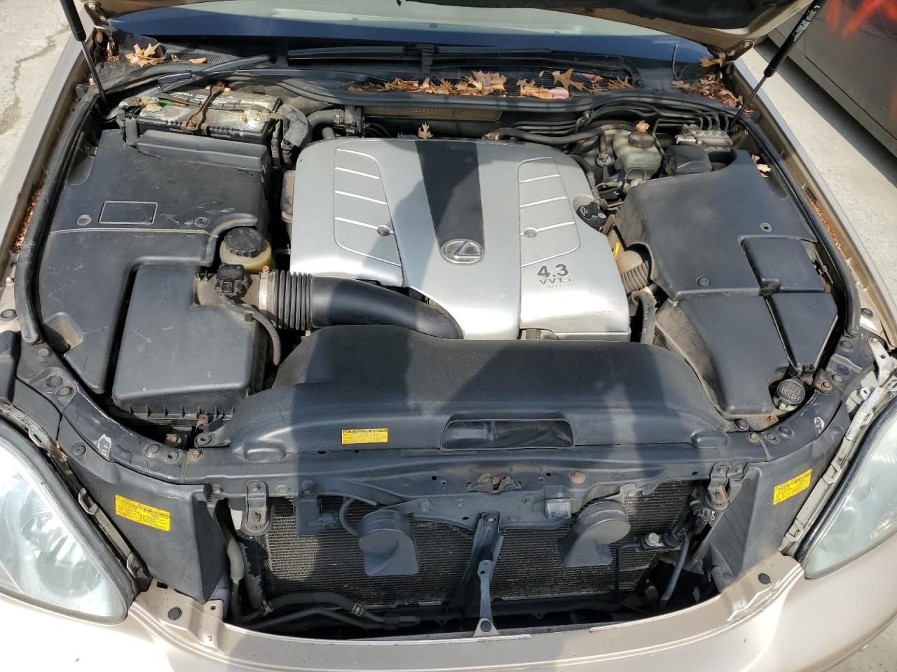 2004 Lexus LS - Image 11