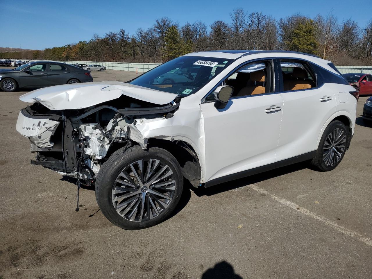 2023 Lexus RX - Image 1