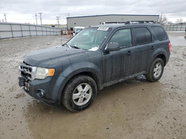 2009 Ford Escape Xlt