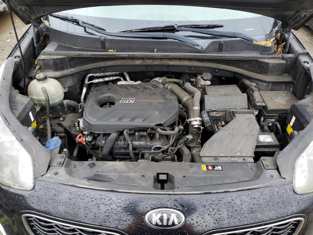 2017 Kia Sportage - Image 12