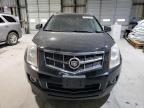 2012 Cadillac Srx Premium Collection for Sale in Rogersville, MO - Minor Dent/Scratches