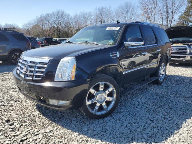 2008 Cadillac Escalade Luxury