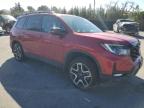 2023 Honda Passport Elite for Sale in San Martin, CA - Rear End