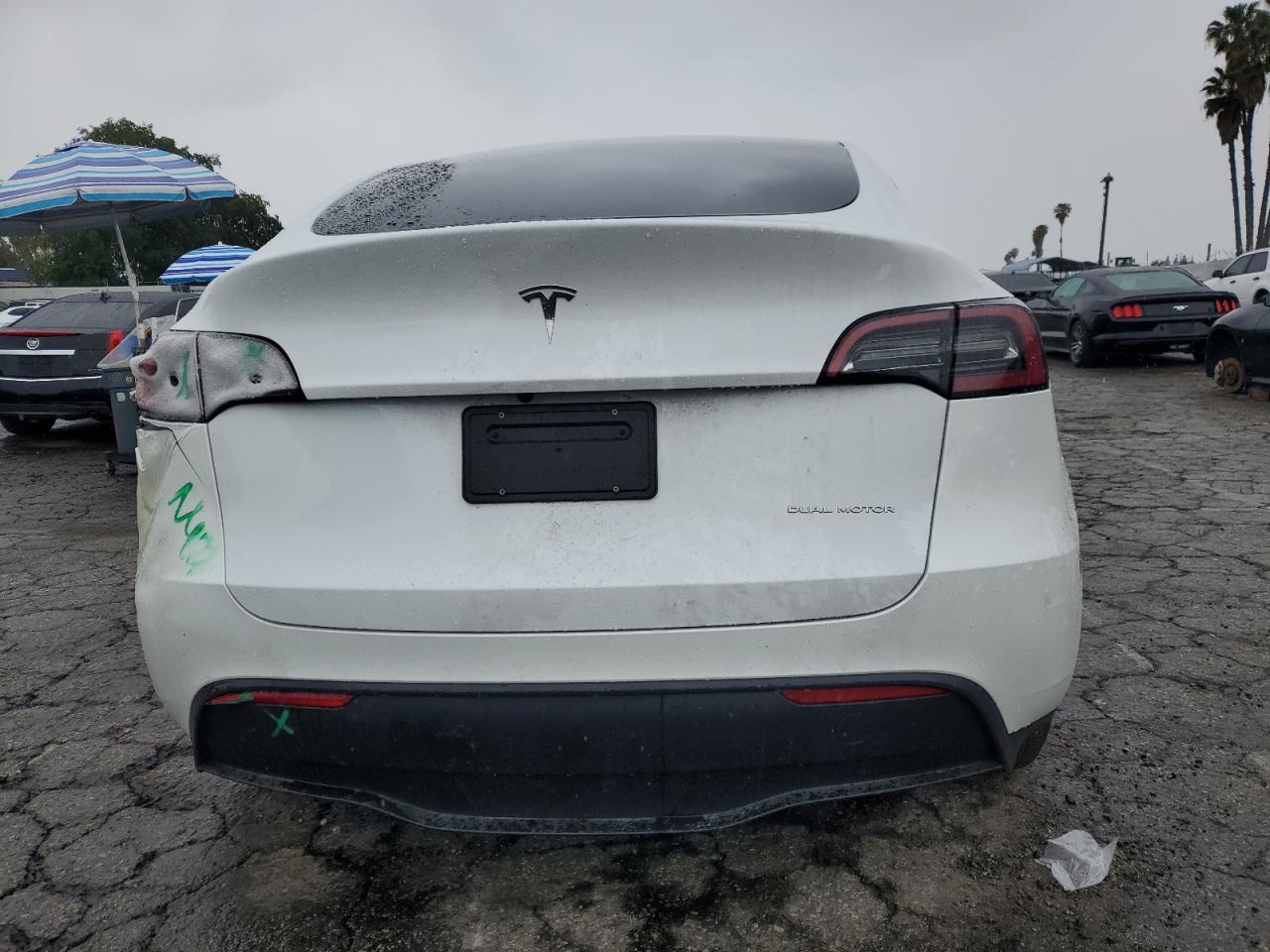 2024 Tesla Model Y VIN: 7SAYGDEE1RF124192 Lot: 48789325