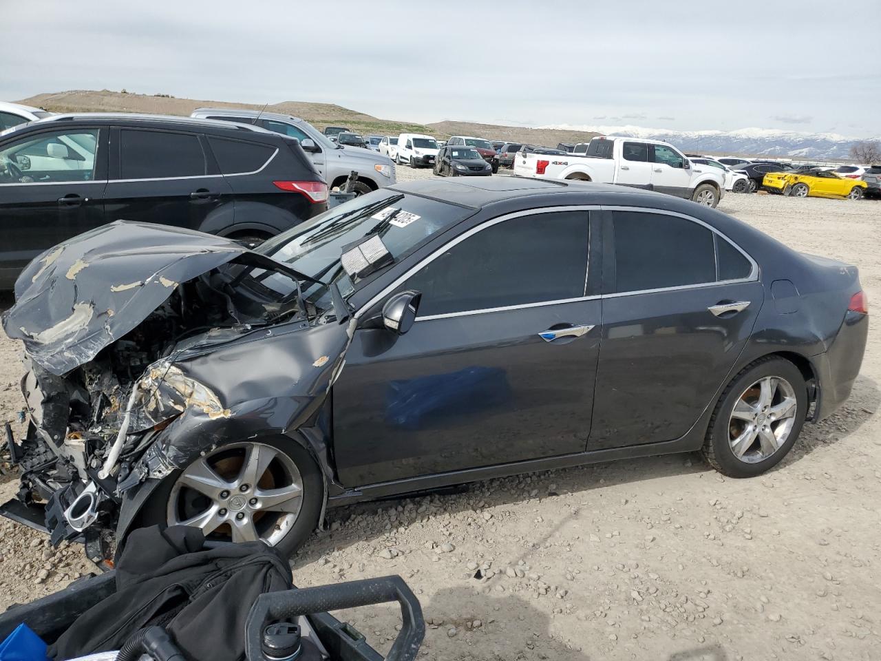 2011 Acura Tsx for Sale in Magna, UT - Front End