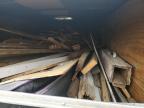 2022 South Georgia Enclosed Cargo Trailer იყიდება Loganville-ში, GA - All Over