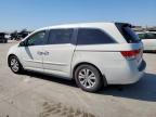 2014 Honda Odyssey Exl იყიდება Grand Prairie-ში, TX - Hail