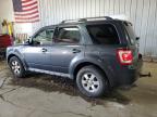 2009 Ford Escape Limited на продаже в Franklin, WI - Normal Wear