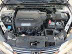 2013 Honda Accord Exl იყიდება Earlington-ში, KY - Hail