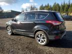 2013 Ford Escape Titanium за продажба в Graham, WA - Front End