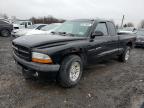 2001 Dodge Dakota  на продаже в Hillsborough, NJ - Front End
