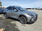 2024 Lexus Nx 350H Base for Sale in Martinez, CA - Rear End