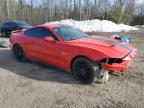 2019 FORD MUSTANG GT   à vendre chez Copart ON - COOKSTOWN