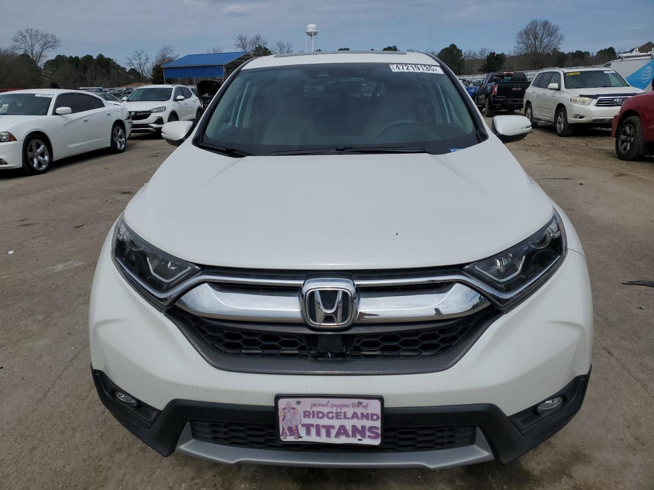 2019 Honda CR-V - Image 5