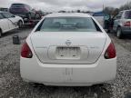 2004 Nissan Maxima Se for Sale in Walton, KY - Front End