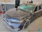 2024 Honda Civic Exl იყიდება Columbus-ში, OH - All Over