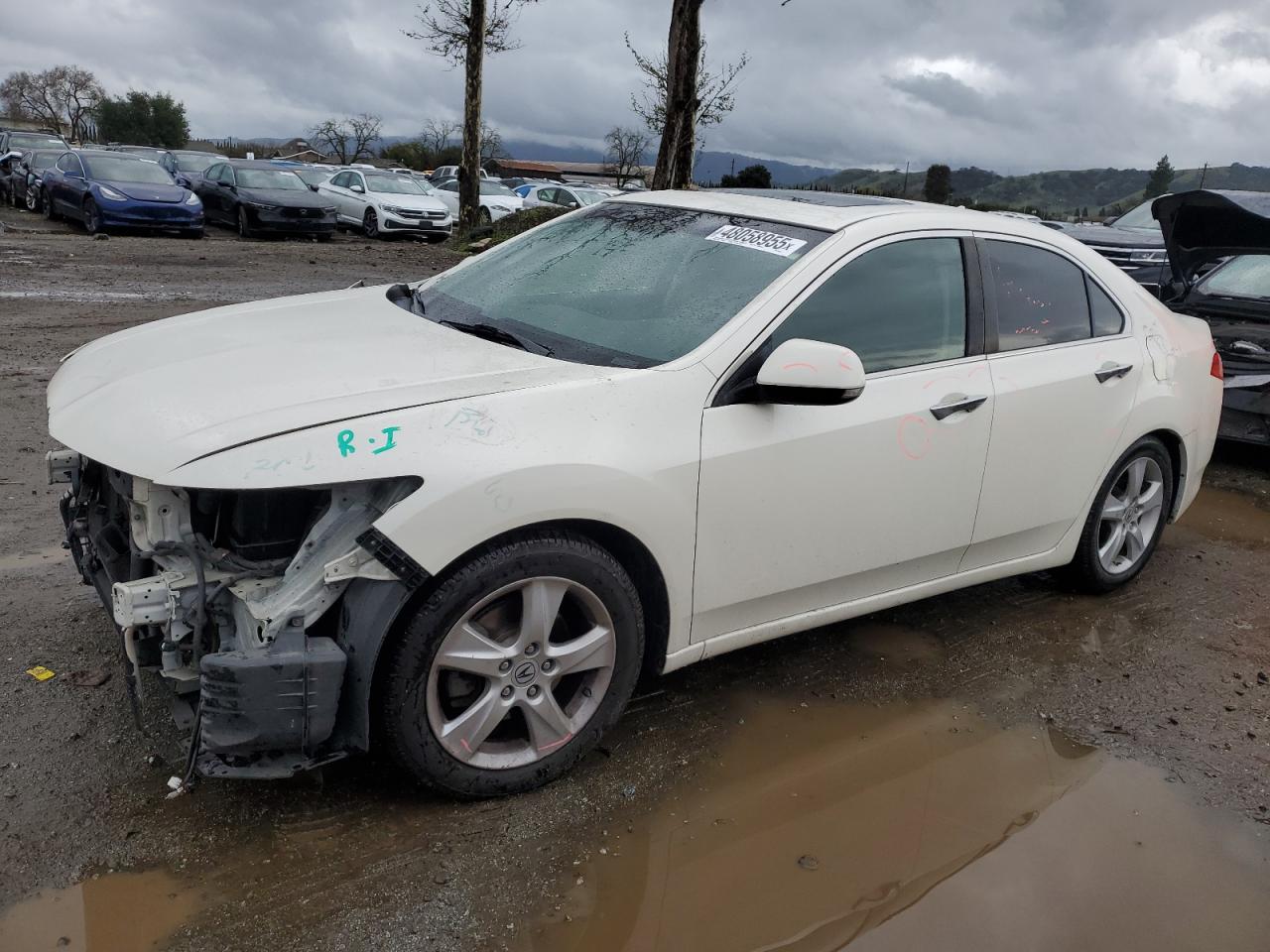 2010 Acura TSX - Image 1