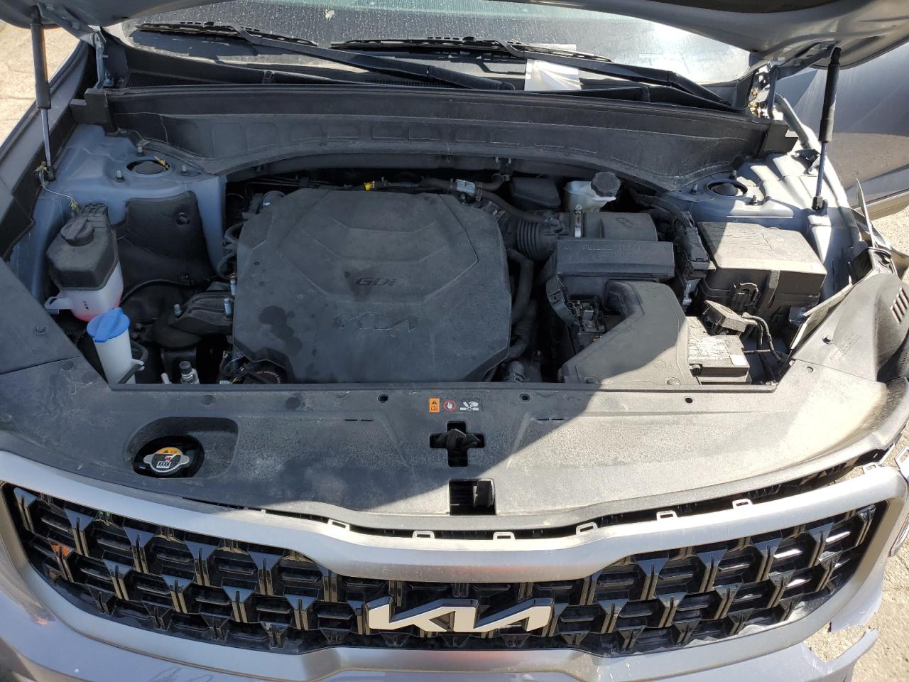 2023 Kia Telluride Ex VIN: 5XYP3DGC0PG339164 Lot: 50011535
